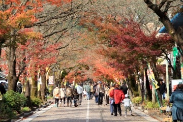 谷汲さん へ紅葉を見に行こう 秋の谷汲山華厳寺へ行ってきました ムーンライトゆかりん