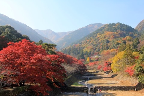 養老の滝までの道歩きが楽しい 見頃を迎えた紅葉スポット 養老公園 へ ムーンライトゆかりん