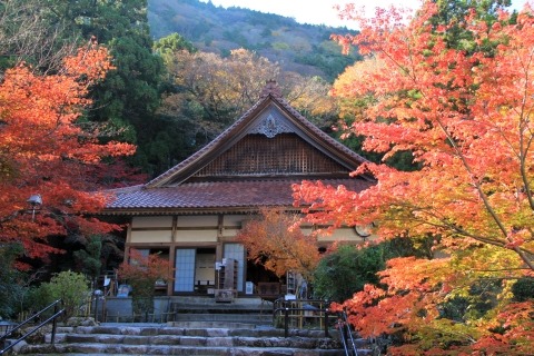 紅葉シーズンなので三重県いなべ市の 聖宝寺もみじ祭り へ行ってきました ムーンライトゆかりん