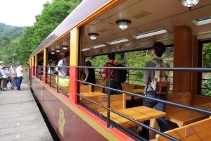 その列車はトロッコ風 わたらせ渓谷鉄道 トロッコわっしー号 に乗って帰る話 ムーンライトゆかりん