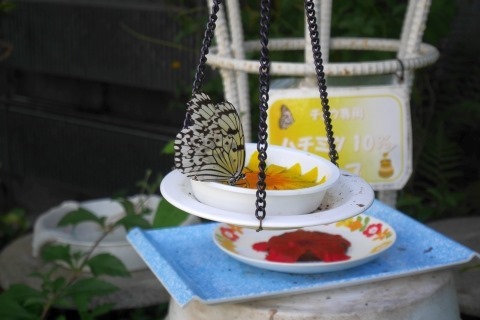 19年未紹介ネタを振り返る 多摩動物公園 ムーンライトゆかりん