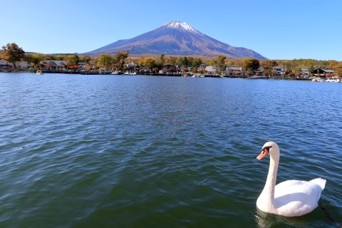 天気が良いので富士山を見に行こう Aqours合宿の地 山中湖へ ムーンライトゆかりん 天気が良いので富士山を見に行こう Aqours合宿の地 山中湖へ ムーンライトゆかりん