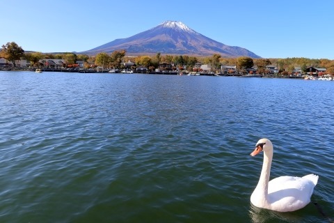 天気が良いので富士山を見に行こう Aqours合宿の地 山中湖へ ムーンライトゆかりん